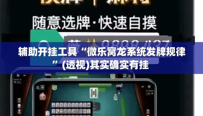 辅助开挂工具“微乐窝龙系统发牌规律”(透视)其实确实有挂 