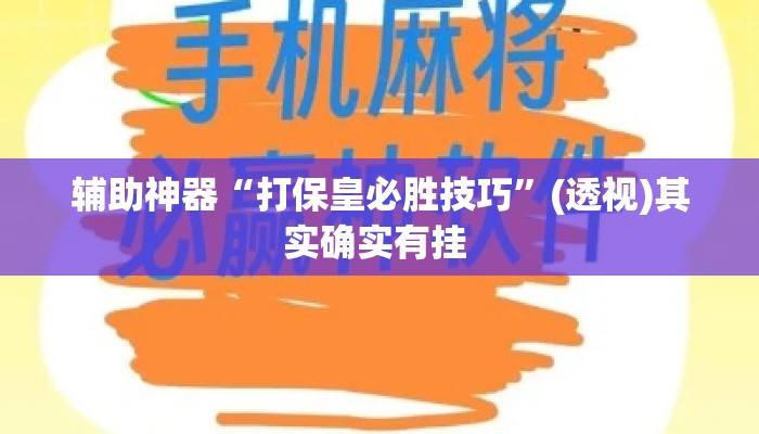 辅助神器“打保皇必胜技巧”(透视)其实确实有挂 