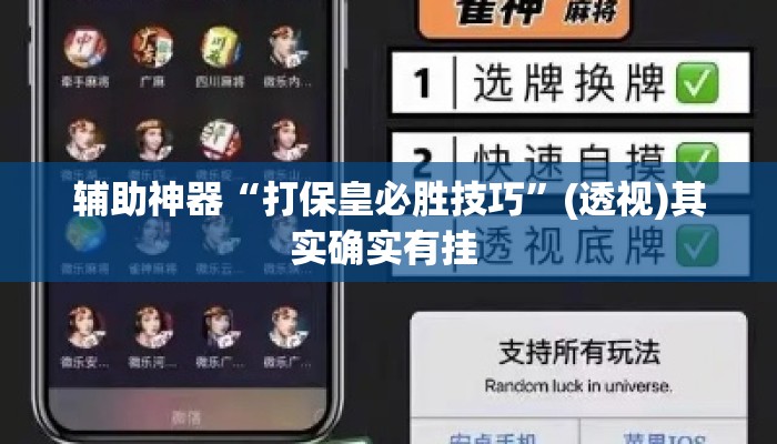 辅助神器“打保皇必胜技巧”(透视)其实确实有挂 