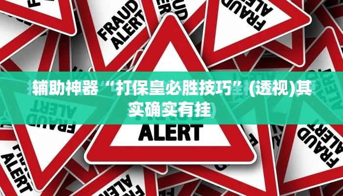 辅助神器“打保皇必胜技巧”(透视)其实确实有挂 
