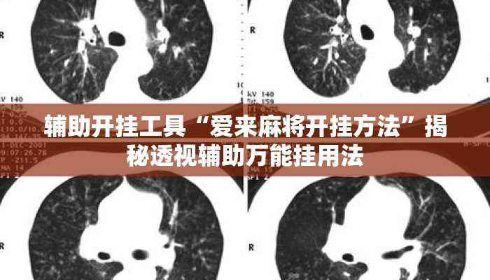 辅助开挂工具“爱来麻将开挂方法	”揭秘透视辅助万能挂用法
