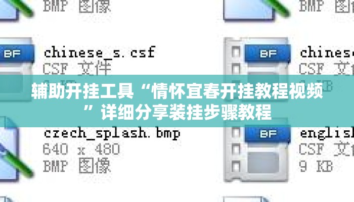 辅助开挂工具“情怀宜春开挂教程视频”详细分享装挂步骤教程