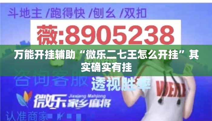 万能开挂辅助“微乐二七王怎么开挂	”其实确实有挂