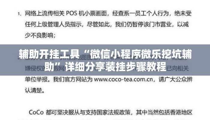辅助开挂工具“微信小程序微乐挖坑辅助”详细分享装挂步骤教程