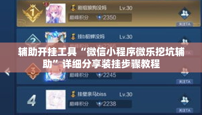 辅助开挂工具“微信小程序微乐挖坑辅助”详细分享装挂步骤教程