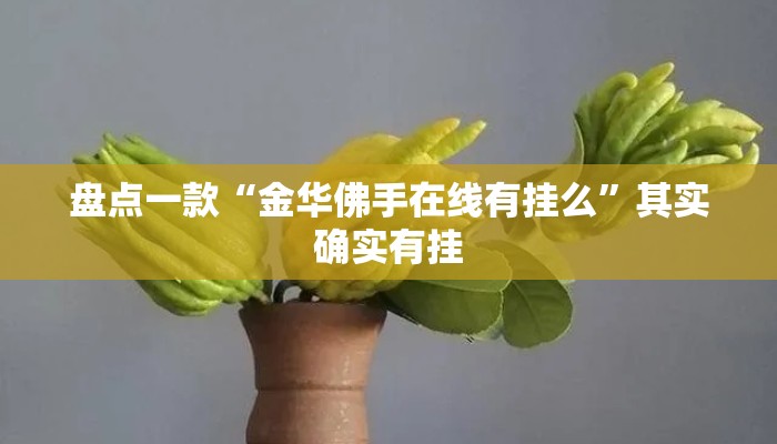 盘点一款“金华佛手在线有挂么”其实确实有挂