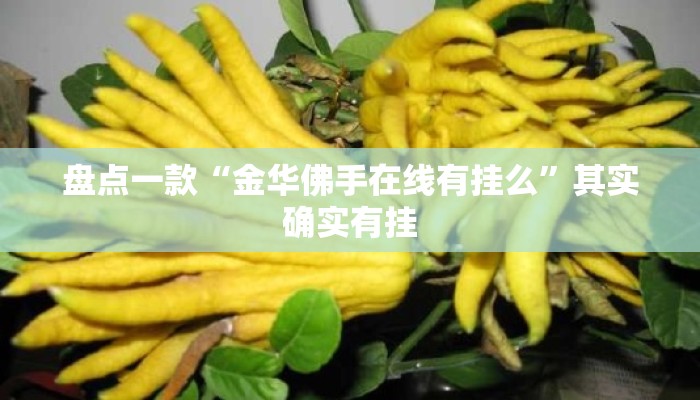 盘点一款“金华佛手在线有挂么”其实确实有挂