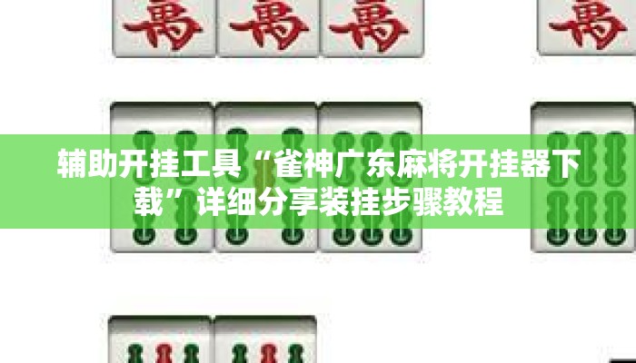 辅助开挂工具“雀神广东麻将开挂器下载”详细分享装挂步骤教程