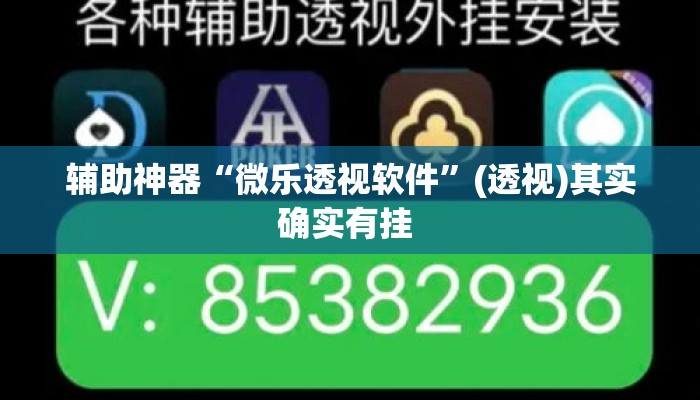 辅助神器“微乐透视软件	”(透视)其实确实有挂 