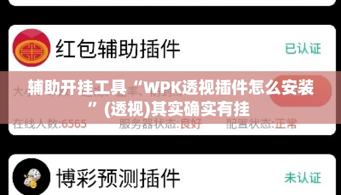 辅助开挂工具“WPK透视插件怎么安装”(透视)其实确实有挂 