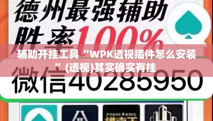 辅助开挂工具“WPK透视插件怎么安装”(透视)其实确实有挂 