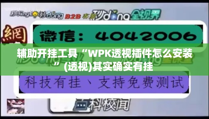 辅助开挂工具“WPK透视插件怎么安装”(透视)其实确实有挂 