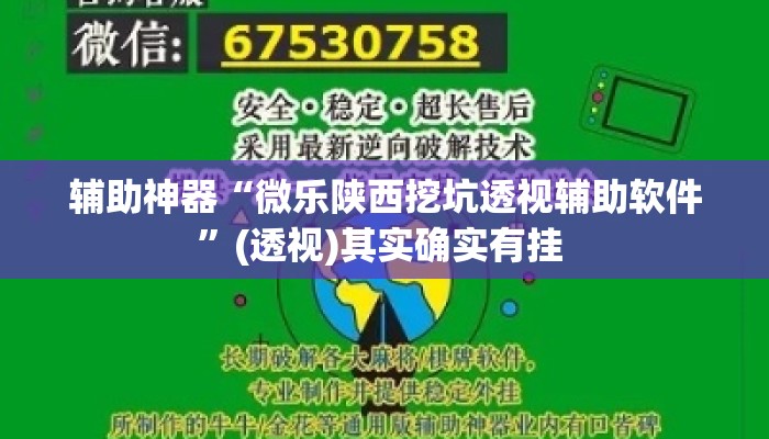 辅助神器“微乐陕西挖坑透视辅助软件	”(透视)其实确实有挂 
