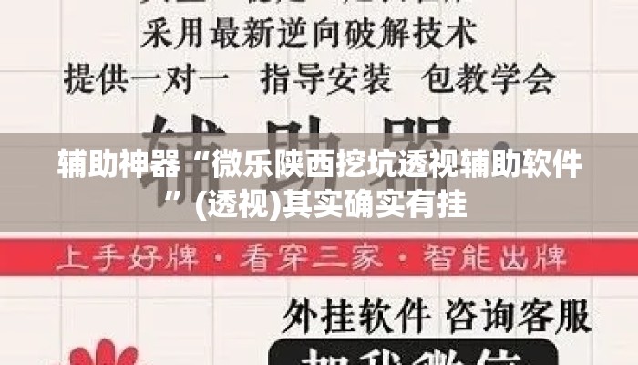 辅助神器“微乐陕西挖坑透视辅助软件	”(透视)其实确实有挂 