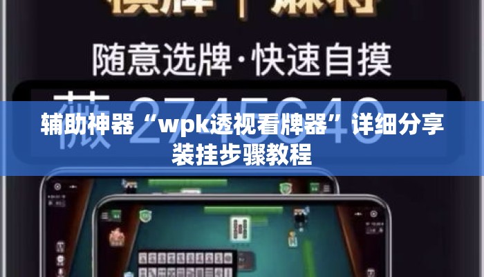辅助神器“wpk透视看牌器	”详细分享装挂步骤教程