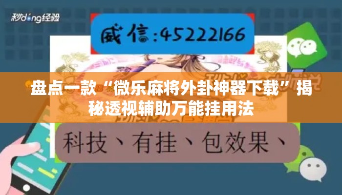 盘点一款“微乐麻将外卦神器下载	”揭秘透视辅助万能挂用法