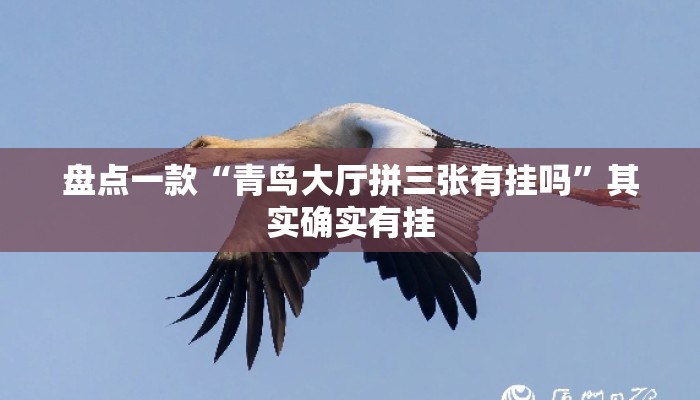 盘点一款“青鸟大厅拼三张有挂吗”其实确实有挂