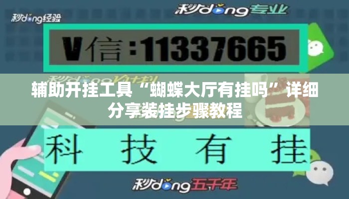 辅助开挂工具“蝴蝶大厅有挂吗”详细分享装挂步骤教程