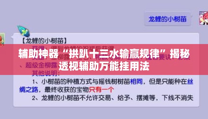 辅助神器“拱趴十三水输赢规律”揭秘透视辅助万能挂用法