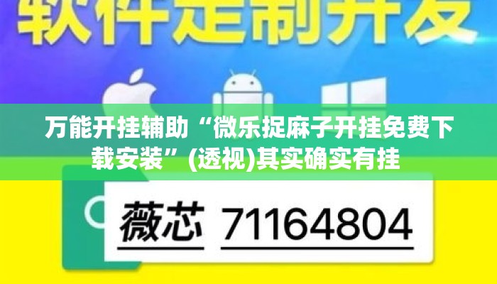 万能开挂辅助“微乐捉麻子开挂免费下载安装”(透视)其实确实有挂 