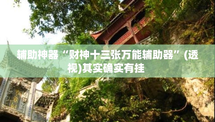 辅助神器“财神十三张万能辅助器”(透视)其实确实有挂 