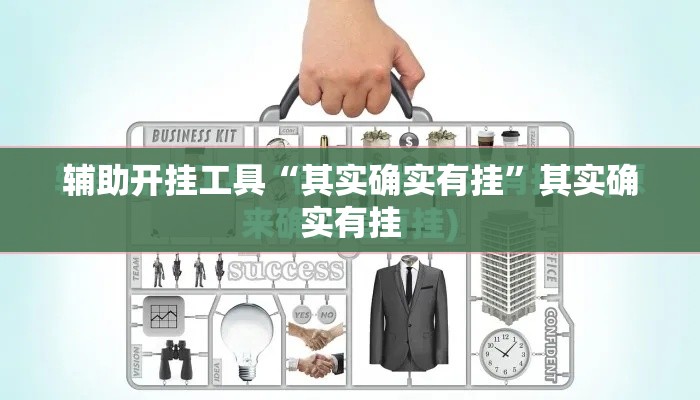 辅助开挂工具“其实确实有挂”其实确实有挂