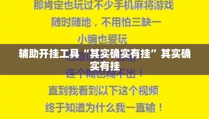辅助开挂工具“其实确实有挂	”其实确实有挂