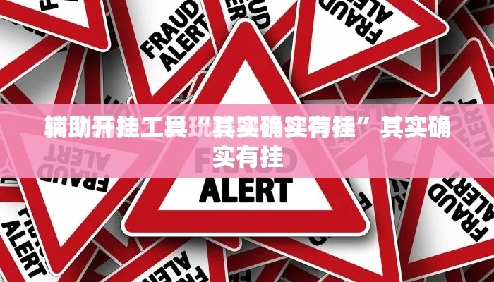 辅助开挂工具“其实确实有挂”其实确实有挂