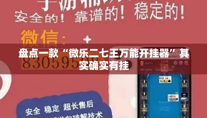 盘点一款“微乐二七王万能开挂器”其实确实有挂