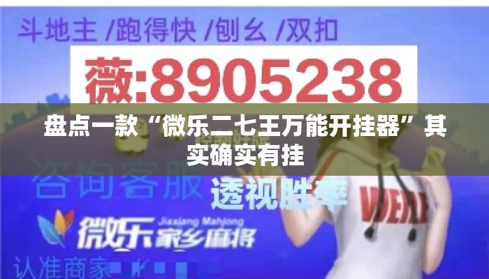 盘点一款“微乐二七王万能开挂器”其实确实有挂