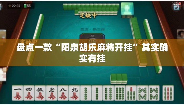 盘点一款“阳泉胡乐麻将开挂	”其实确实有挂