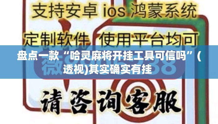 盘点一款“哈灵麻将开挂工具可信吗	”(透视)其实确实有挂 