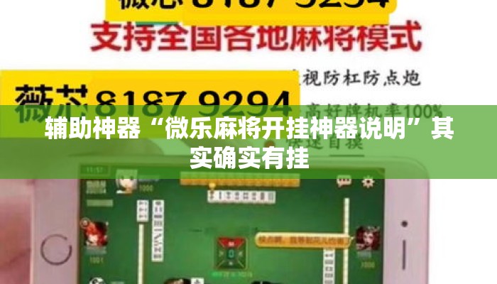 辅助神器“微乐麻将开挂神器说明”其实确实有挂