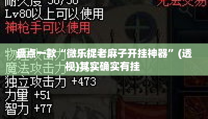 盘点一款“微乐捉老麻子开挂神器”(透视)其实确实有挂 