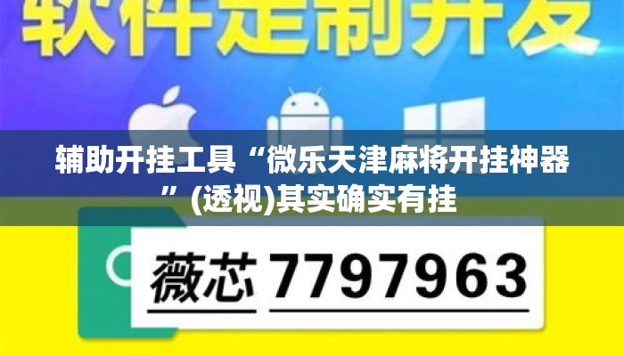 辅助开挂工具“微乐天津麻将开挂神器”(透视)其实确实有挂 