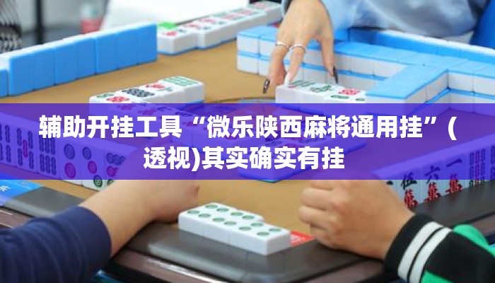 辅助开挂工具“微乐陕西麻将通用挂”(透视)其实确实有挂 