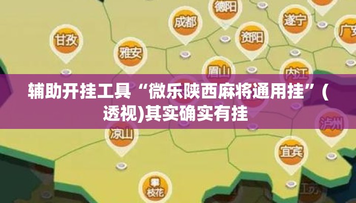 辅助开挂工具“微乐陕西麻将通用挂”(透视)其实确实有挂 