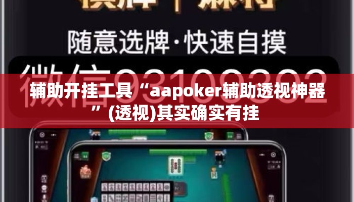 辅助开挂工具“aapoker辅助透视神器”(透视)其实确实有挂 