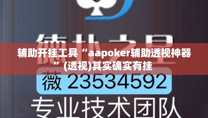 辅助开挂工具“aapoker辅助透视神器”(透视)其实确实有挂 