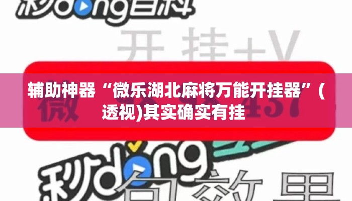 辅助神器“微乐湖北麻将万能开挂器”(透视)其实确实有挂 