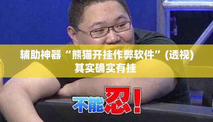 辅助神器“熊猫开挂作弊软件”(透视)其实确实有挂 
