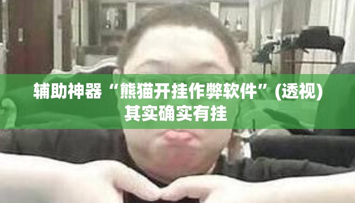 辅助神器“熊猫开挂作弊软件”(透视)其实确实有挂 