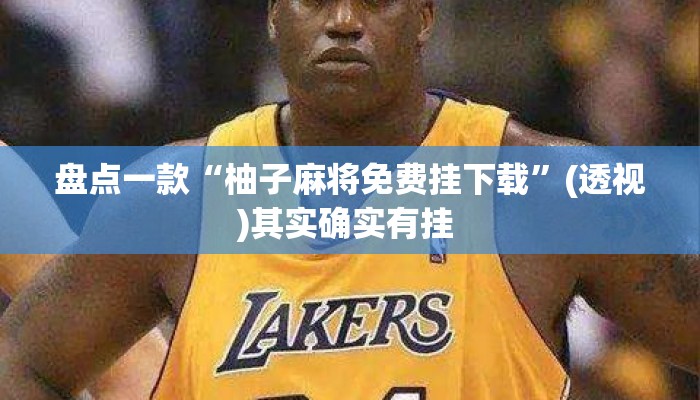 盘点一款“柚子麻将免费挂下载	”(透视)其实确实有挂 