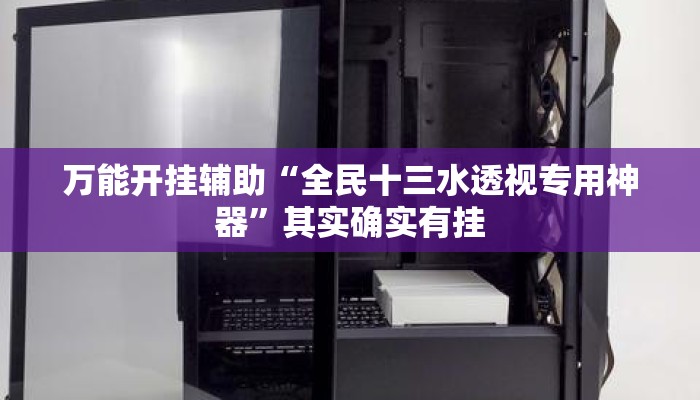 万能开挂辅助“全民十三水透视专用神器”其实确实有挂