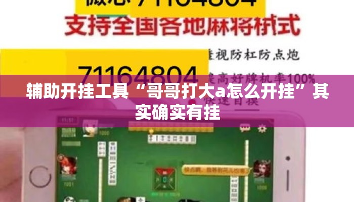辅助开挂工具“哥哥打大a怎么开挂	”其实确实有挂