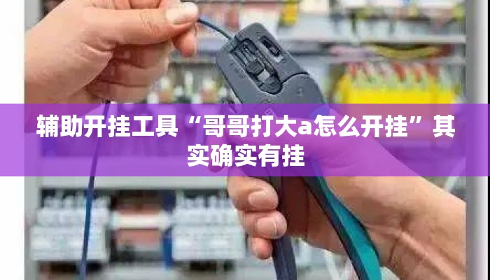 辅助开挂工具“哥哥打大a怎么开挂”其实确实有挂