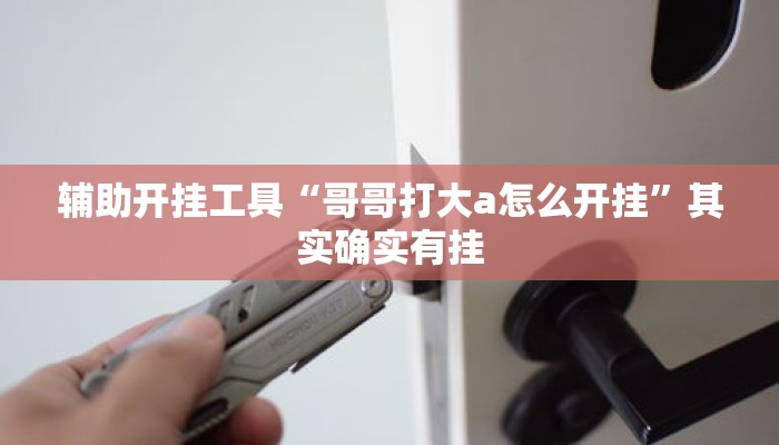 辅助开挂工具“哥哥打大a怎么开挂	”其实确实有挂