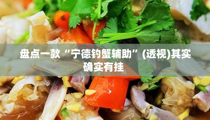 盘点一款“宁德钓蟹辅助”(透视)其实确实有挂 