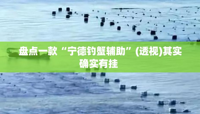 盘点一款“宁德钓蟹辅助”(透视)其实确实有挂 