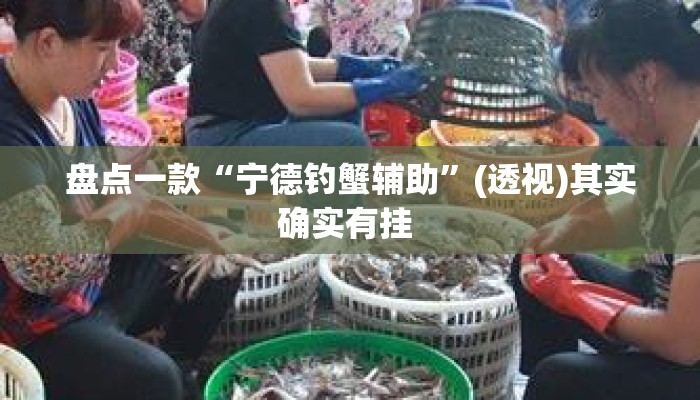 盘点一款“宁德钓蟹辅助	”(透视)其实确实有挂 